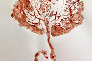 Jak láska mění porod